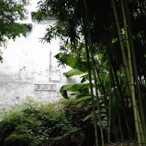青藤犹在，居士地下有知？------访徐渭