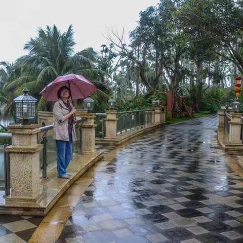 园中有湖有桥，占地相当大。