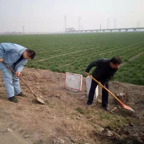 关于齐鲁站巡护通道清理的汇报