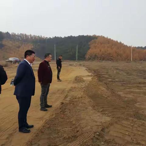 区委书记张玉良到辽宁特立环保项目施工现场指导项目建设