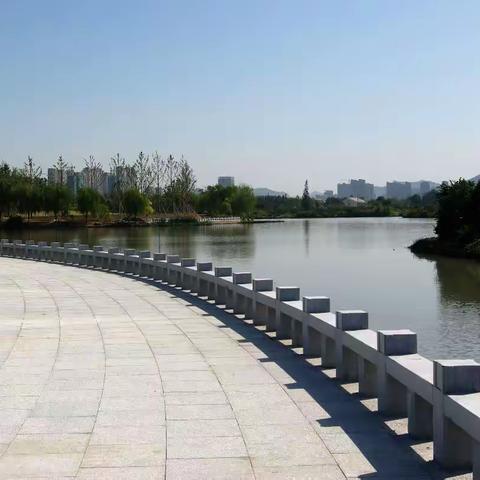 温州三垟湿地公园