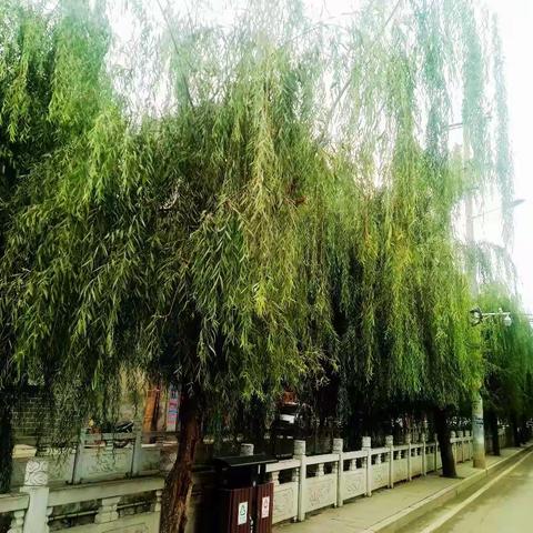 建华手记--故事篇