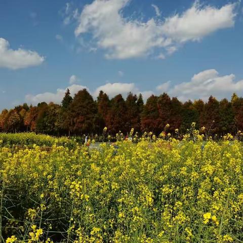 是谁？叩开了春天的门!