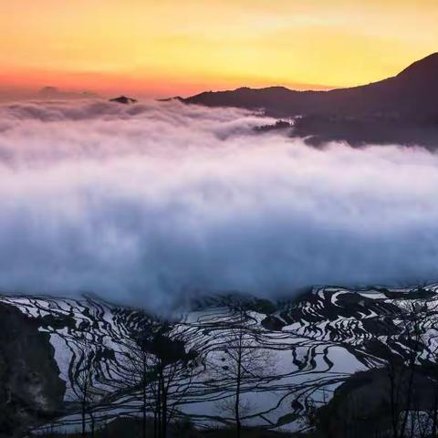 游览普者黑三生三世十里桃花拍摄基地，观元阳梯田日出