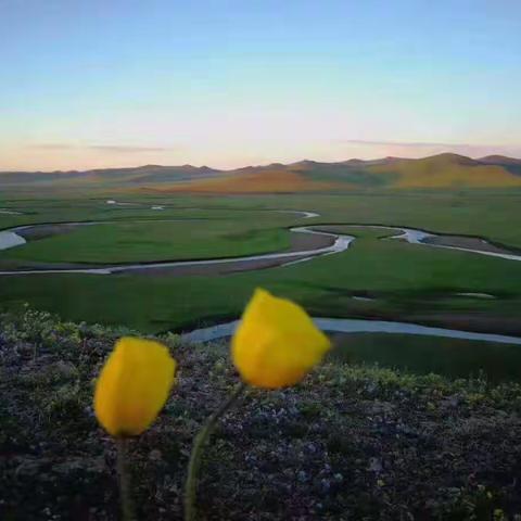 呼伦贝尔10天9晚草原深度+俄罗斯出境游