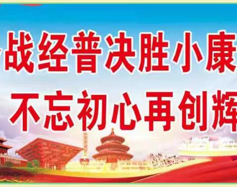 撸起袖子加油干，经普一线显身手