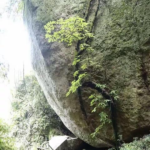 春到瑞云山