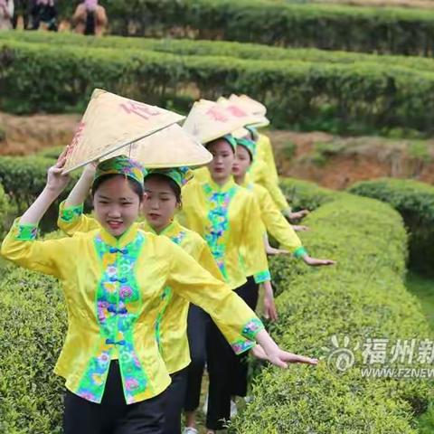 商贸学子茶文化，助力春伦振兴乡村