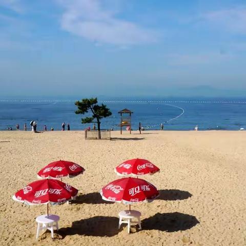 初夏，行走在齐鲁大地上：青岛(结束篇)