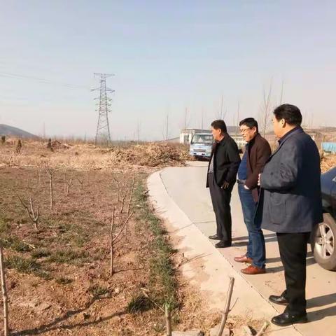 区农业局第二督导组开展春季农业生产安全检查