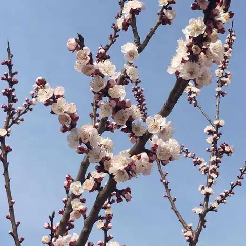 康店卫生院积极认真开展春季消防安全、创文工作