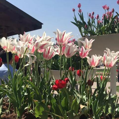 三门峡财校91届同学会