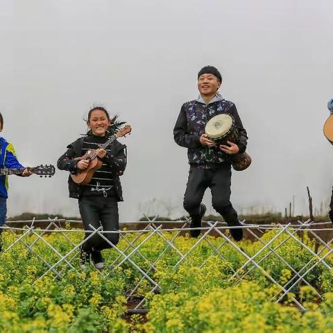 菜花儿开放澄澄黄