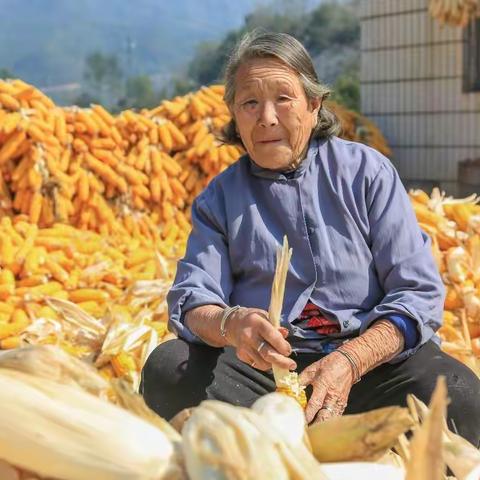 太行山中行随拍