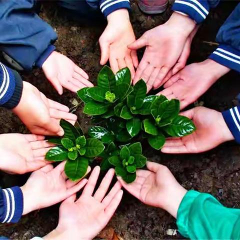 九峰森林动物园植树纪 | 森林加“树”度，保护神奇动物的领地