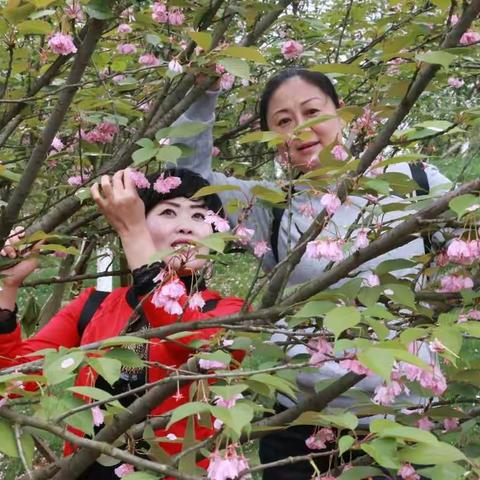 情深似海姐妹花