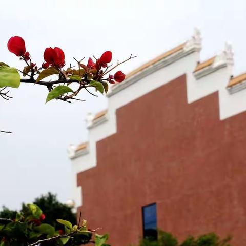 两下江华五十载  旧照新影祭青春 ——江华掠影