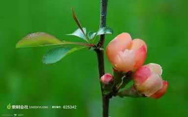 【行知文学】实中暑期作文（十七）曹苏瑶、干欣雨、喻王庆、杨博涵