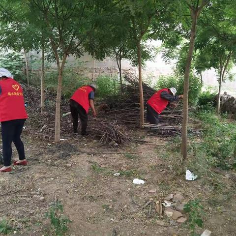 锦水街道计生协开展环境卫生清理活动