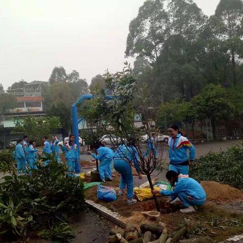 “播一片绿林，种一份爱心”——银泉小学植树节主题活动