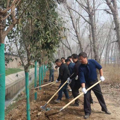 沣惠中心开展春季植树增绿活动