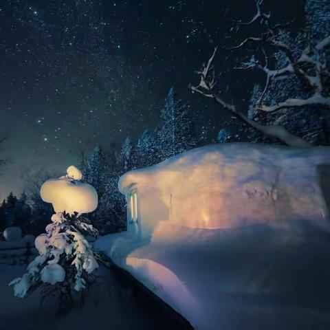 一路向北，追逐冰雪童话