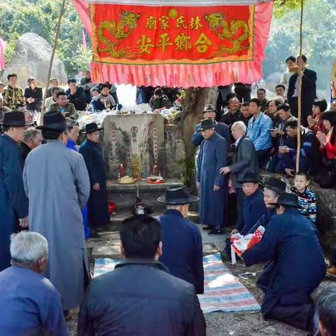 九牧世家汫洲林氏宗亲祭祖记实