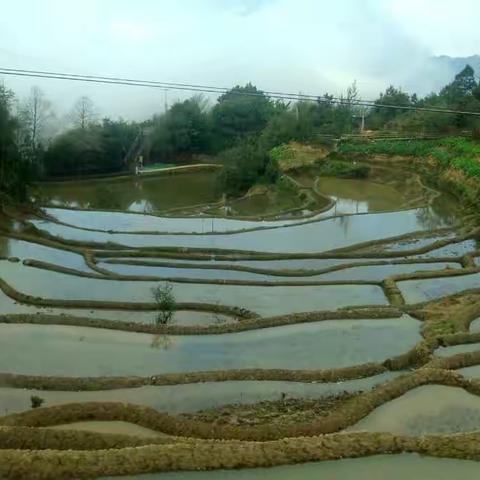 热带云南游记（三）