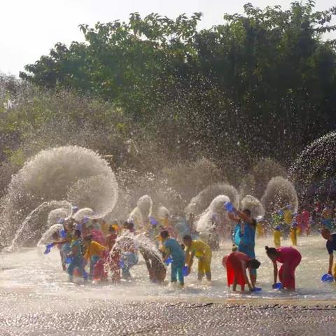 热带云南游记（四）