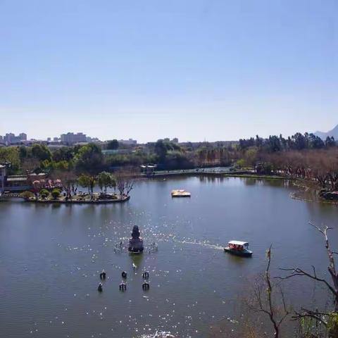 热带云南游记（六）