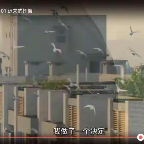 贺兰银河东路营业所警示教育总结