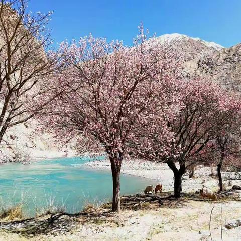 道路曲折，坚持方向，穿过山脉，景色更加美好