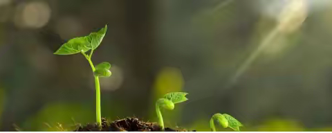 信仰生命的力量（八四班  邓泽昊）