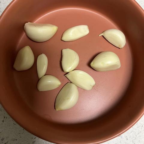 观察植物生长-蒜苗成长记