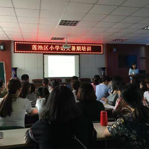 莲池区小学语文暑期培训