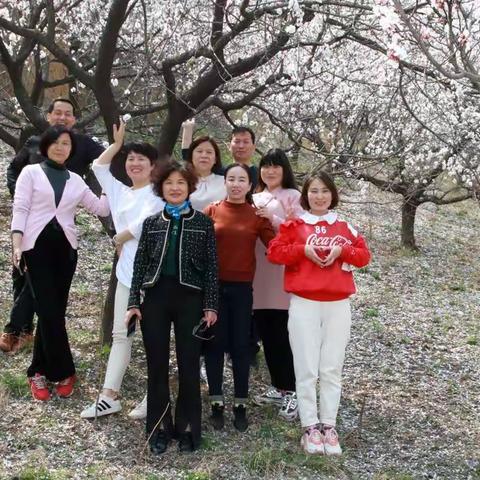 又到一年花开季