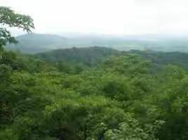 童心童趣读美文 思维导图展思维