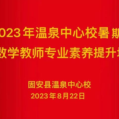 2023 年温泉中心校暑期小学数学教师专业素养提升培训