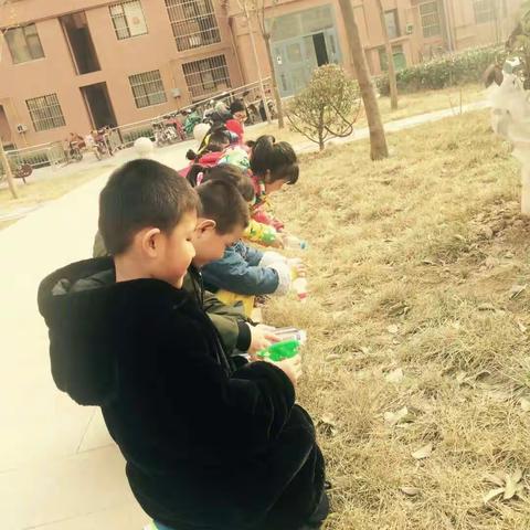 多一片绿叶，多一份温馨