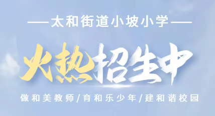 麒麟区太和街道小坡小学2021年秋季学期一年级招生公告