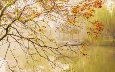 在合作与探究中前行——珞狮路小学中语组“互联网+尚美课堂生态重构”之小组合作学习专题研讨侧记