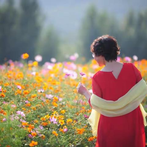 2017-乡村记忆