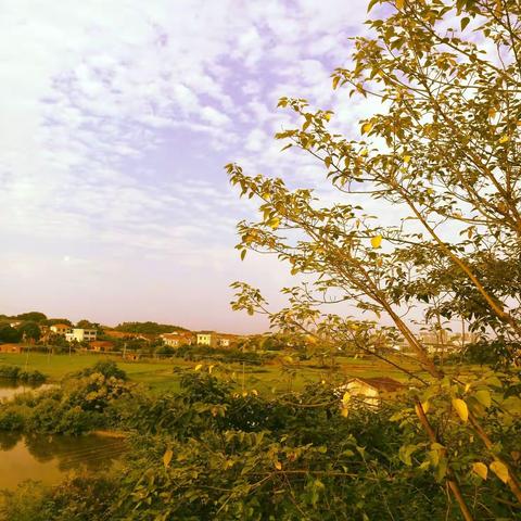 我那乡角的夏日