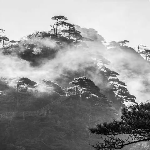 水墨丹青三清山                     图/文  山野村夫