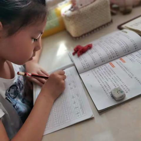 207追梦班  黄梓桐暑假生活