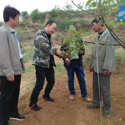 林业产业脱贫攻坚动态