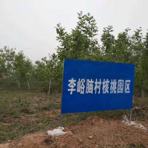 林业产业扶贫动态