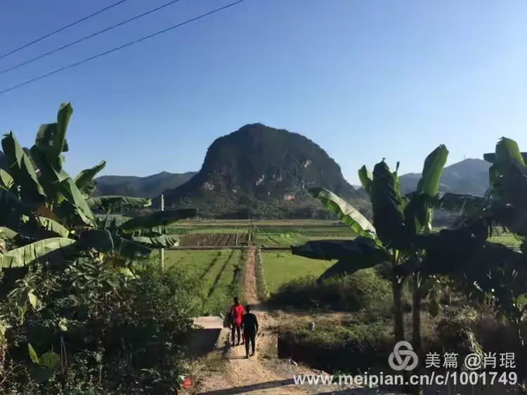 芳春游罗城