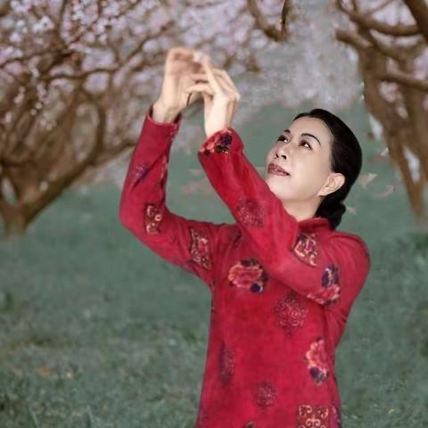 又见春归来