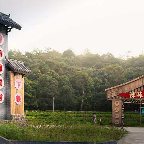 美丽下赖，多彩辣椒